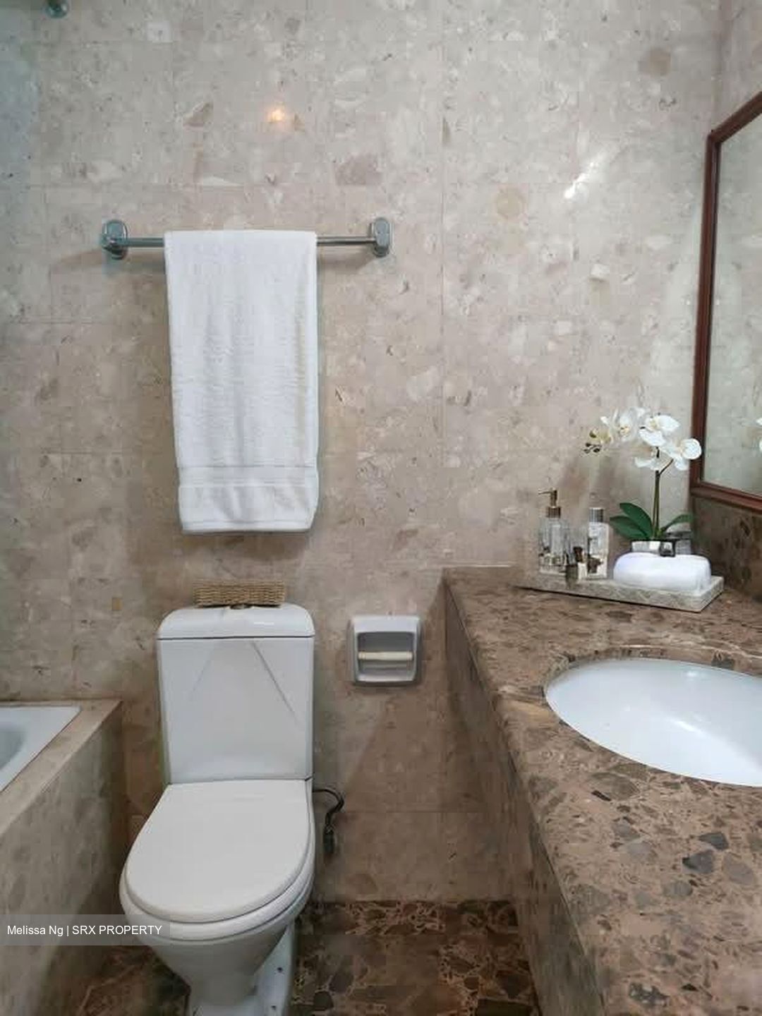 Meralodge (D23), Condominium #557399651